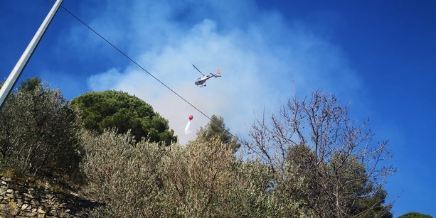 Incendio boschivo ad Alassio: proseguono le operazioni di bonifica, zona presidiata tutta la notte (FOTO e VIDEO)