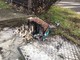 Capodanno, il Day After a Torino: dalle strade ai giardini, botti sparsi ovunque in città [FOTO]