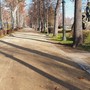 In macchina nei parchi di Torino: quasi 1.600 multe per sosta vietata e Ztl non rispettata
