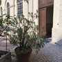 Un posto sicuro per i più fragili: rimessi a nuovo 15 posti letto comunali