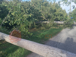 Raffiche di vento, decine di alberi caduti e tetti danneggiati nel Cuneese e nel Saluzzese Raffiche di vento, decine di alberi caduti e tetti danneggiati nel Cuneese e nel Saluzzese