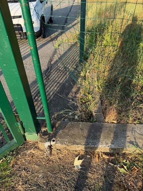 Nuovo furto alla Cittadella Nida di Falchera: "Di giorno costruiamo, di notte ci rubano tutto"