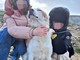 Uccisero cane a colpi di fucile a Castellinaldo d’Alba: individuato il responsabile