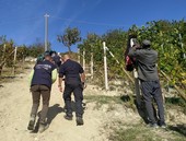 Contrasto al caporalato: multe per 50mila euro dopo controlli dei Carabinieri di Alba durante l’ultima vendemmia