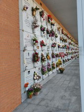 I soliti saccheggi al cimitero, i ladri portano via i pomelli in ottone dalle lapidi I soliti saccheggi al cimitero, i ladri portano via i pomelli in ottone dalle lapidi