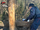 Blitz dei carabinieri contro lo spaccio di droga nei boschi di Tradate, Venegono Superiore e Castelseprio