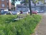 Sfalci a Torino nord, la Circoscrizione 6 frena: “Qualche dubbio sul piano”