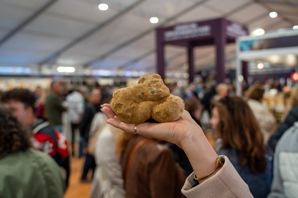 Ad Alba primo week end con la Fiera del Tartufo Bianco: si apre un fine settimana tra gusto e tradizioni