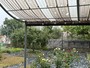 Break alla morsa del caldo: su Torino arriva la pioggia, ma si contano anche i danni [FOTO]