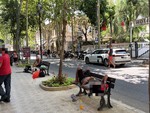 Sanremo, tensioni e degrado in corso Garibaldi per alcuni senza fissa dimora: interviene la Polizia, Amaie pulisce e disinfetta (Foto) Sanremo, tensioni e degrado in corso Garibaldi per alcuni senza fissa dimora: interviene la Polizia, Amaie pulisce e disinfetta (Foto)