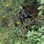 Tragedia a Celle Ligure, auto esce di strada e si ribalta: due morti (FOTO)