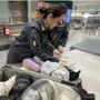 Malpensa, sequestrati 11.400 farmaci illegali e 15 litri di insetticida letale per l'uomo Malpensa, sequestrati 11.400 farmaci illegali e 15 litri di insetticida letale per l'uomo