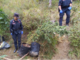 Piantagione di marijuana nei boschi di Erli: sequestrate dai Carabinieri Forestali 20 piante di cannabis
