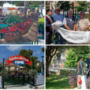 L'Avis di Celle compie 60 anni: inaugurato il riqualificato giardino dei Piani (FOTO) L'Avis di Celle compie 60 anni: inaugurato il riqualificato giardino dei Piani (FOTO)