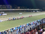 Luci all'ippodromo delle Bettole: stasera a Varese la voglia di correre batte il De Profundis Luci all'ippodromo delle Bettole: stasera a Varese la voglia di correre batte il De Profundis