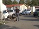 Blitz al campo nomadi di Mirafiori: sequestrati armi, jammer e auto per le truffe agli anziani [VIDEO]