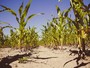 Maggio più caldo di sempre: riserve evaporate in 10 giorni e un'altra estate a rischio siccità [VIDEO]