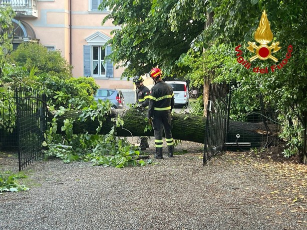 Violento temporale nella notte tra Varese e Malnate: numerosi alberi caduti