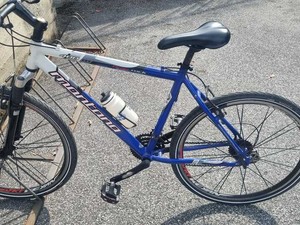 Ha un nome l’uomo investito da un camion a Cervignasco. Un altro anziano rinvenuto senza vita a pochi metri dalla sua abitazione Ha un nome l’uomo investito da un camion a Cervignasco. Un altro anziano rinvenuto senza vita a pochi metri dalla sua abitazione