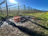 Auto in fiamme all’alba nei presso del cimitero di San Benigno di Cuneo: indaga la Polizia Auto in fiamme all’alba nei presso del cimitero di San Benigno di Cuneo: indaga la Polizia