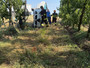 Saluzzo: auto piomba a tutta velocità in un frutteto dove è in corso la raccolta frutta e si ribalta tra i filari Saluzzo: auto piomba a tutta velocità in un frutteto dove è in corso la raccolta frutta e si ribalta tra i filari