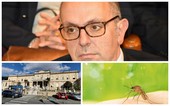 Dengue a Sanremo, il primario Cenderello: "Nessun allarme, è soprattutto un caso di interesse epidemiologico"