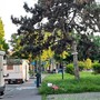 &quot;Gli sgomberi non bastano, i camper si spostano di continuo. Garantiamo uno stazionamento consentito&quot;
