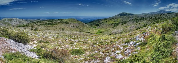 Vence punta sul futuro verde: torna il Salon Éco-Habitat per la sua 10ª edizione Vence punta sul futuro verde: torna il Salon Éco-Habitat per la sua 10ª edizione