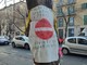 Al via il taglio degli alberi malati di corso Belgio: manifestanti bloccano la strada, bus deviati Al via il taglio degli alberi malati di corso Belgio: manifestanti bloccano la strada, bus deviati