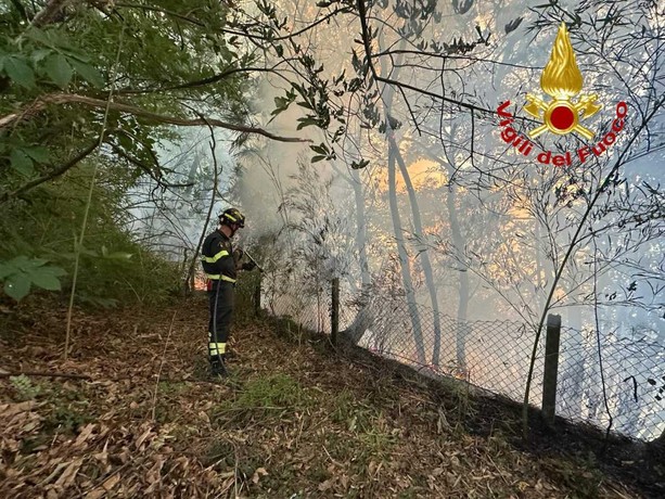 VIDEO. Incendio nei boschi sopra Arolo di Leggiuno forse causato da un fulmine VIDEO. Incendio nei boschi sopra Arolo di Leggiuno forse causato da un fulmine