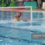Pallanuoto | Len Euro Cup, la Rari Nantes Savona rimonta e batte il Primorac Kotor ai rigori Pallanuoto | Len Euro Cup, la Rari Nantes Savona rimonta e batte il Primorac Kotor ai rigori