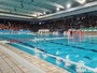 Piscina Zanelli, la Rari guarda oltre Savona: "Pronti al trasferimento a Luceto"