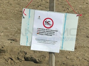 Mare vietato ad Arma, esposto in Procura: Alleanza Progressista chiede accertamenti su controlli e rete fognaria Mare vietato ad Arma, esposto in Procura: Alleanza Progressista chiede accertamenti su controlli e rete fognaria