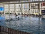 Rari Nantes Savona, esordio vincente in campionato: Posillipo battuto 18-13 Rari Nantes Savona, esordio vincente in campionato: Posillipo battuto 18-13