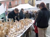 Weekend di metà novembre nel Cuneese tra fiere, festival, spettacoli e sapori d’autunno Weekend di metà novembre nel Cuneese tra fiere, festival, spettacoli e sapori d’autunno