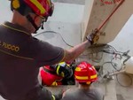 Cassinasco, asino precipita in un pozzo: complesso intervento dei Vigili del Fuoco Cassinasco, asino precipita in un pozzo: complesso intervento dei Vigili del Fuoco