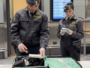 Malpensa, maxi sequestro di sigarette di contrabbando: 44 denunce