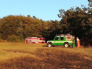 Vasto incendio tra Priero e Montezemolo: ingente dispiego di uomini e mezzi per domare le fiamme e mettere in sicurezza le case