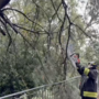 VIDEO. Maltempo, la conta dei danni: nel Varesotto oltre 40 interventi di soccorso