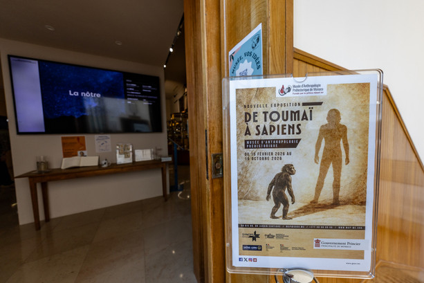 Le Musée d’Anthropologie préhistorique presenta la mostra “Da Toumaï a Sapiens” (Foto)