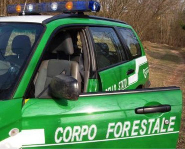 Doccia gelata per il Comune di Chivasso: i Carabinieri della Forestale traslocano a Volpiano