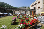 EVENTI / In giro per la Granda tra fiere e sagre: a Peveragno la fragolata, la magia di Forte in Fiore a Vinadio