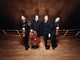 Il Quartetto di Cremona ospite dell’Accademia di musica di Pinerolo