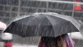 Meteo, un'altra giornata di nubifragi e temporali. Alle 12 scatta l'Allerta arancione Meteo, un'altra giornata di nubifragi e temporali. Alle 12 scatta l'Allerta arancione