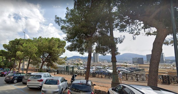 Pini storici e pavimentazione distrutta: il "caso" Corso Podestà approda in Commissione