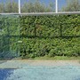 Savigliano, gravi danni al centro La Sirenetta Padel Academy: sette vetrate distrutte, presentata denuncia ai Carabinieri