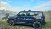 Oltre 200 animali stipati in una villa sulle alture di Sanremo: scoperta choc dopo una segnalazione, coppia denunciata Oltre 200 animali stipati in una villa sulle alture di Sanremo: scoperta choc dopo una segnalazione, coppia denunciata