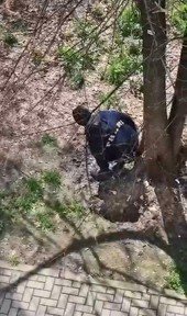 Il giardino trasformato in wc dagli spacciatori: "Siamo invasi dalle mosche verdi"