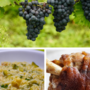 A SPASSO NEL WEEKEND. Vendemmia, sagre, buon cibo e musica dal vivo: l'autunno è arrivato ma in provincia di Varese la voglia di fare festa continua