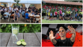 A SPASSO NEL WEEKEND. Festa delle ciliegie a Gavirate, Sagra del Pesce a Calcinate, Gin Fest a Varese: è un festival di eventi mai visto